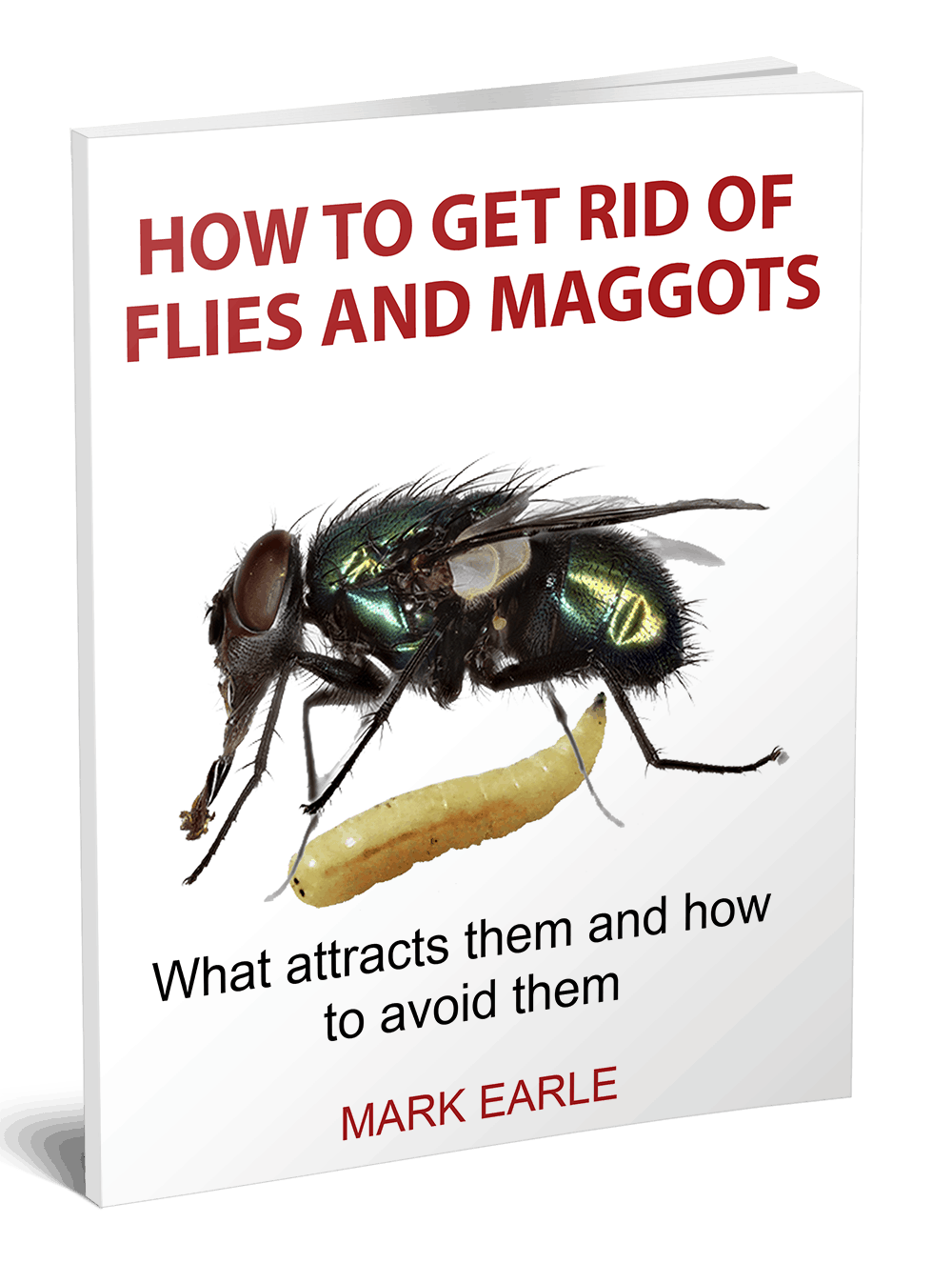 Wheelie Bin Maggots Cleaning at Sylvia Boyd blog